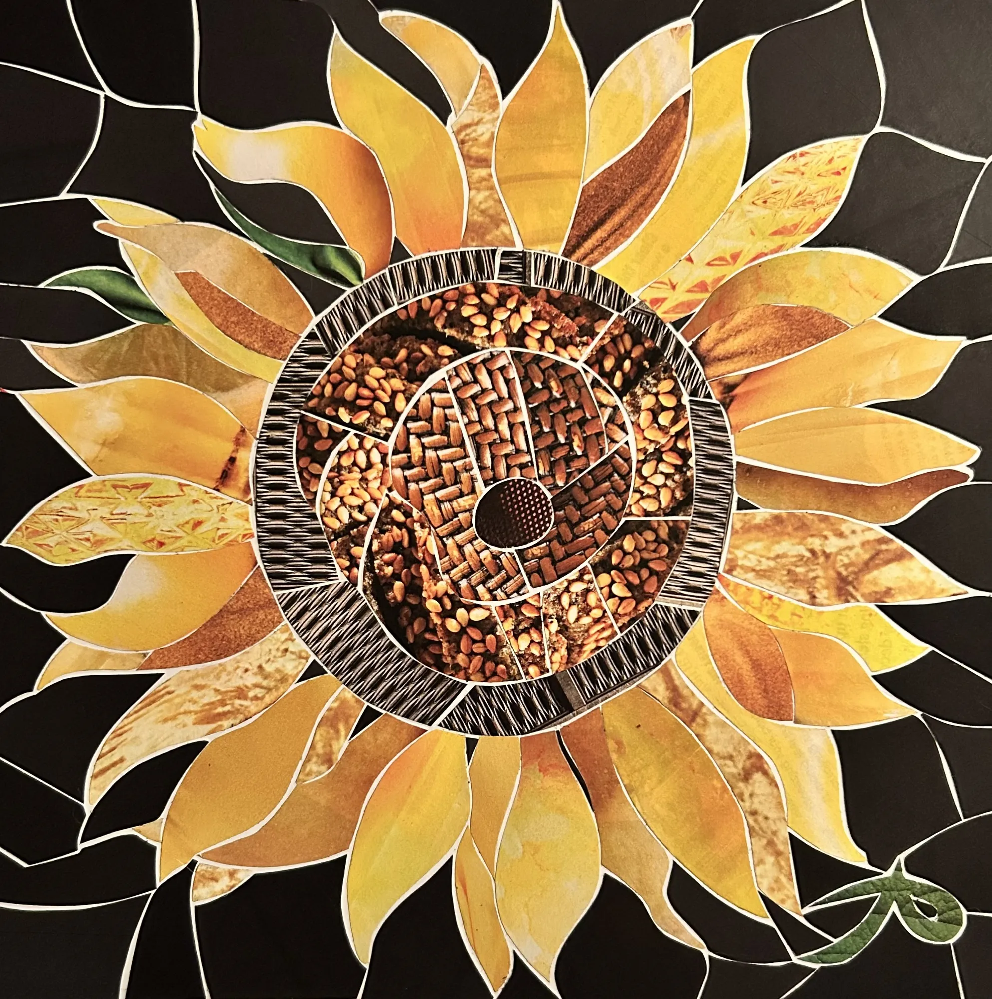 Sunflower 